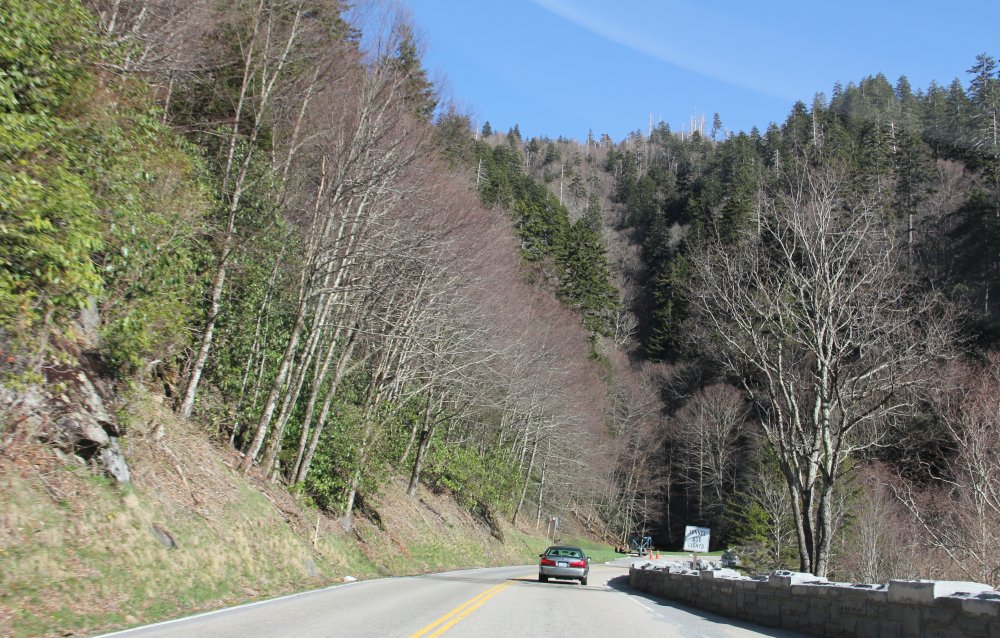 Great Smoky Mountains NP